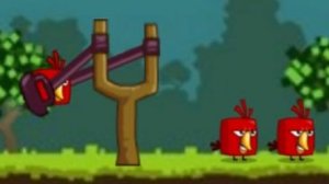 Злые птички. Птички против свиней. Часть 1