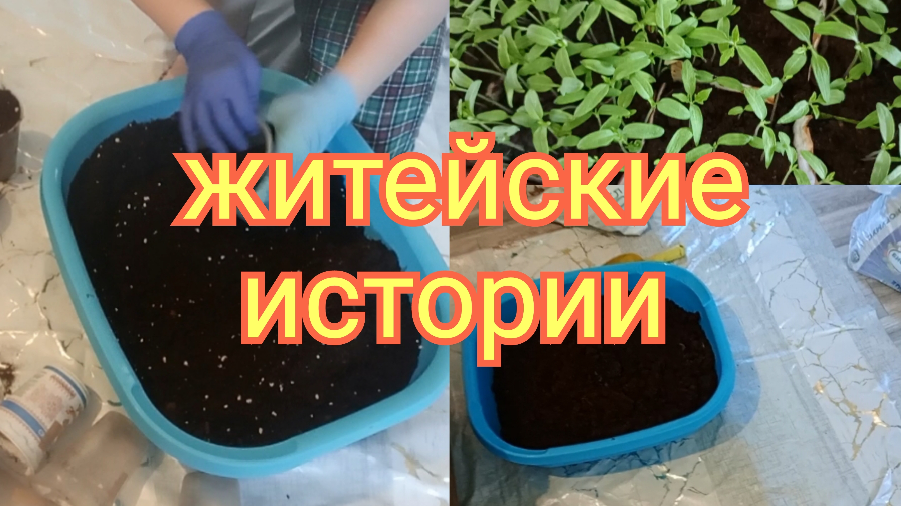 25-03-2026Земля, горшочки и житейские истории..