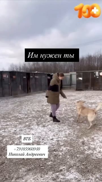 Помогите! Мы тонем!