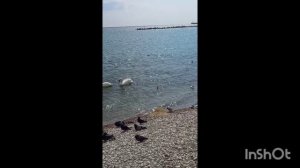 В ГОРОДЕ ВЕСНА !