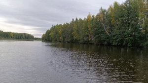 Выбрались с женой на рыбалку на Волгу