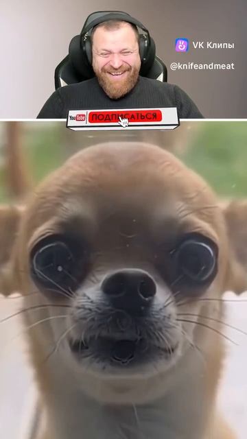 когда перебрал