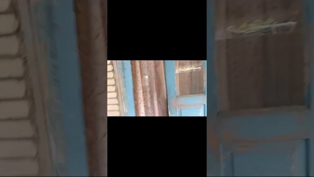 Апшеронск, ДОМ на участке 12 соток