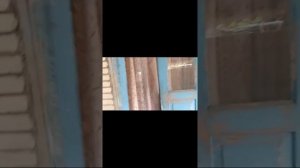 Апшеронск, ДОМ на участке 12 соток