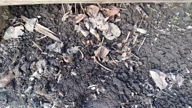 УЧАСТОК 25.03.26 ГОДА.