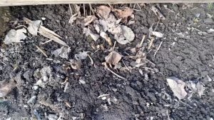 УЧАСТОК 25.03.26 ГОДА.