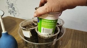 Садово-огородная сага. Сею капусту на рассаду в домашних условиях.