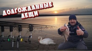 РЫБАЛКА на ЛЕЩА на водохранилище: ОНИ приплыли НОЧЬЮ!