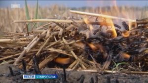 На Ставрополье судили поджигателя полей