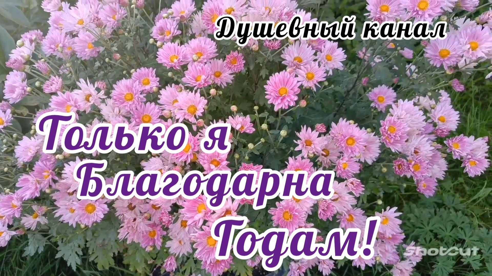 ТОЛЬКО Я БЛАГОДАРНА ГОДАМ // ЕКАТЕРИНА ШАВРИНА