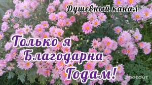 ТОЛЬКО Я БЛАГОДАРНА ГОДАМ // ЕКАТЕРИНА ШАВРИНА