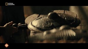 Гладиаторы: Воины древнего мира 6 серия (документальный сериал, 2025)