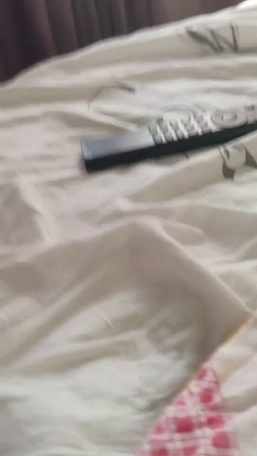 играем в стентов 2