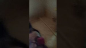 сербская.    леди. у.  меня.   дома