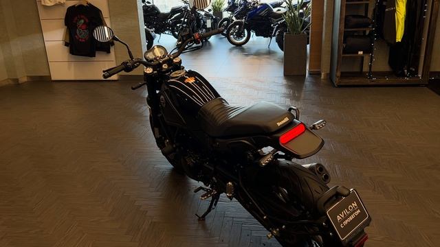 Benelli Leoncino 500