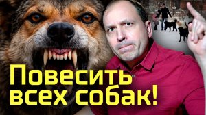 Что делать с бродячими собаками?// Ответы на вопросы
