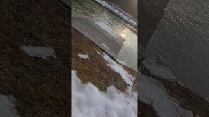 Котя Мотя пошел на реку прогуляться