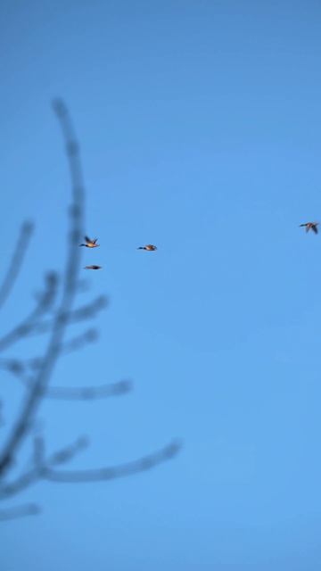 Весна.Закат.Река.