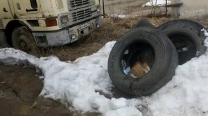 ЛД: один день впустую?