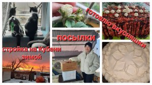 56. Кубанские будни: с чего начался год, что продолжилось...Вкусные перерывы между стройкой.