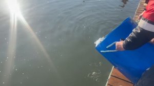 copy_A4C395FE-2DB0-49A4-AFE8-DC49855FE09A