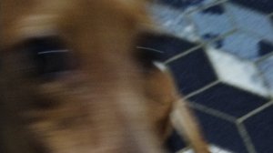 Идём сначала в канцелярку потом в парк