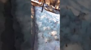 ужасная прогулка