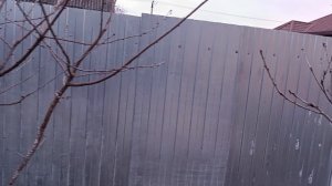 Какое небо голубое