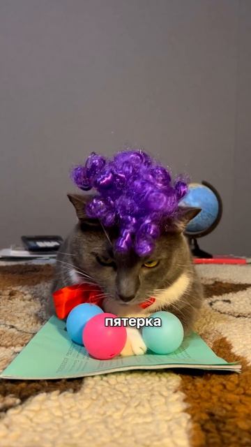 Kotiynet — УРОК МАТЕМАТИКИ