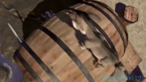 Shrek vs Knights TF2 Dub (MartinStead193)