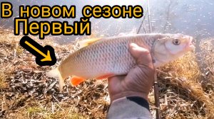 Открытие поплавочного сезона на реке 2025г..