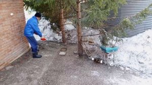 уборка зоопарка