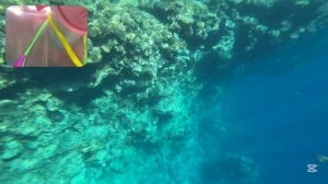 Море красное, коралловый риф у отеля The Grand Hotel Sharm El Sheikh 5* Обзор территории