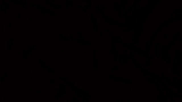 рутуб сломался уведомления?