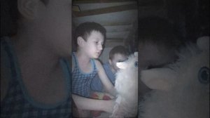 играю в настоящий Фредди 7 часть 2