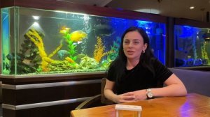 Производитель бань и саун, Альбина