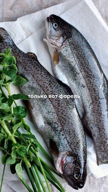 Главное в форели:качество, подача и цена от 900₽.В погоне за быстрой продажей легко потерять прибыль