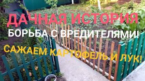 ДАЧНАЯ ИСТОРИЯ ! САЖАЕМ КАРТОФЕЛЬ И ЛУК! БОРЬБА С ВРЕДИТЕЛЯМИ!