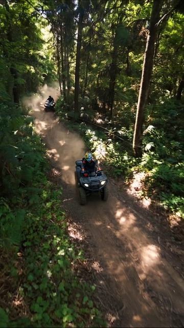 Приключения на квадроциклах в лесу #квадроциклы #приключения #лес