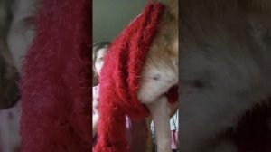 день рождения