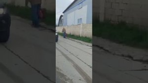 Уличные будни Алеутов