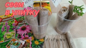 Лёгкий способ вырастить рассаду.