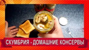 Домашние консервы из скумбрии легко и просто в скороварке