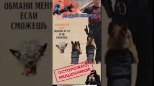 Неизменное Калмедиа