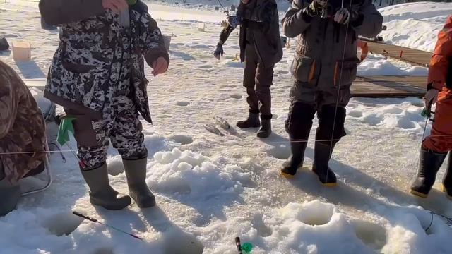25.03.26 г. РК Волна. смотреть онлайн