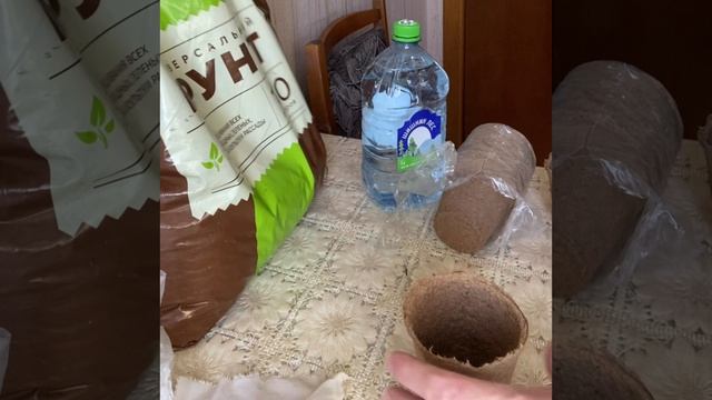 Посадите огурцы «Зозуля» в апреле. Урожай в июне