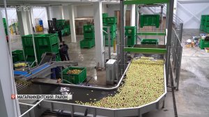 В Магарамкентском районе Дагестана началось строительство второй очереди плодохранилища КФХ «Сад»