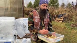 Как правильно выращивать орехи Часть 2