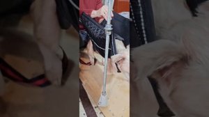 Встреча со Снежком, подписчица приехала в гости к Снежку