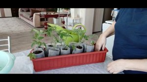 Жизнь на пенсии. Мои будни.